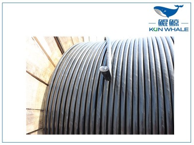 鄭州電纜廠家：什么是RVS電纜？