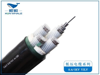 呼和浩特電線(xiàn)電纜廠(chǎng)家