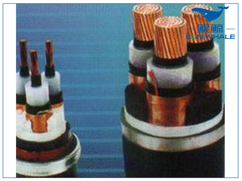 河南太平洋電纜淺談想要家裝電線不被坑，那就看好這五步