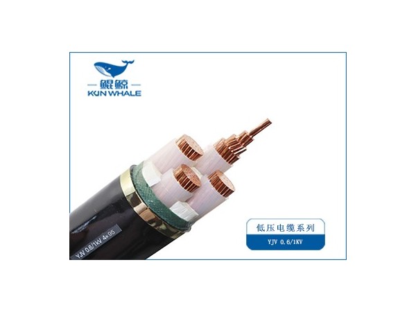 電力電纜選購(gòu)指南：3步避開非標(biāo)陷阱，2025電纜廠家推薦